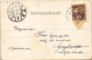 1901 Budapest II. Lukács és Császár fürdő, a rakpart kiépítetlen szilárd úttal (EB)