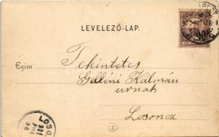 1901 Budapest V. Angolkisasszonyok Intézete, Irányi utcai bejárat, Marer József pálinka, likőr, rum ...