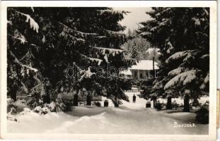 1941 Borszék, Borsec; téli látkép. Heiter György udvari fényképész felvétele / general view in winter