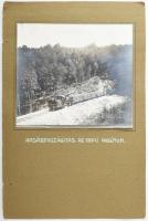 cca 1905 Erdély hasábfaszállítás az erdei vasúton Krassó-Szörény vármegyében. Az Osztrák-Magyar Vasúttársaság létesítménye. Nagy méretű fotó 28x22 cm Kartonon / 1905, Transylvania, woodtransportation on forrest railway. Krassó-Szörény County. A facility of the Austro-Hungarian Railway Company. Large-sized photo."