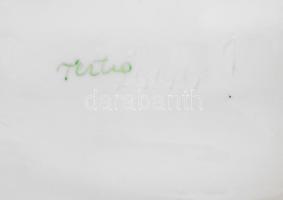 Herend tertia nagy méretű kagyló kínáló, jelzéssel, kis kopottsággal, 23,5x22x8 cm