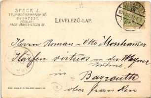 1904 Budapest VI. Speck János tejnagykereskedő tejkertje. Aréna út 104. (ma Dózsa György út) (kopott...