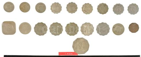19db-os vegyes iraki érmetétel T:vegyes 19pcs of mixed iraqi coin lot C:mixed