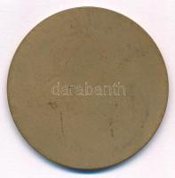 Szántó Gergely (1886-1962) 1927. "Királyi Magyar Egyetemi Nyomda" bronz emlékérem (40mm) T...