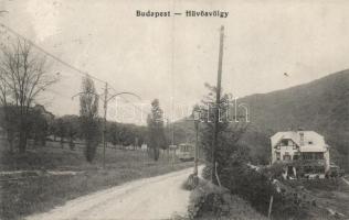 Budapest II. Hűvösvölgy villamossal (fa)