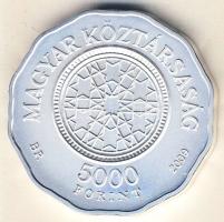 2009. 5000Ft Ag "Dohány utcai zsinagóga" T:BU