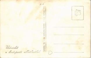 Budapest XIV. Állatkert, gyerekhintó pónival. Hölzel Gyula photo (EK)