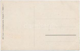 Homonna, Homenau, Humenné; Szirtalja, nyaraló. Vasúti levelezőlapárusítás 2913. / Podskalka, villa