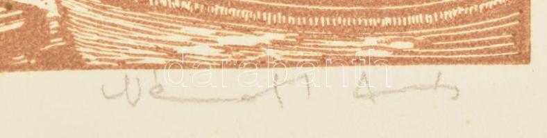 Németh András (1941-): Vár (Budapesti panoráma). Színes linómetszet, papír, jelzett, számozott (49/5...