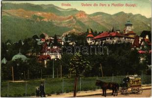 Sinaia, Vedere din parc a Muntilor Bucegi / park, castle, villas, horse cart with G. Matheescus advertisement (r)