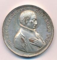 Olasz Államok / Pápai Államok 1896. Aloisio Gonzagát ábrázoló kétoldals ezüstözött bronz emlékérem "DIE SACRA ALOISIO GONZAGAE S I / MENSAE DIVINAE LEONE XIII PONT MAX PRIMITUS CONVIVA AN ANTE LXXV - A. MARINIUS EQ MODER EPH KLER AN MDCCCXCVI" (44mm) T:XF,VF ph, kopott ezüstözés /  Italian States / Papal States 1896. Double-sided silver plated bronze medallion depicting Aloisio Gonzaga "DIE SACRA ALOISIO GONZAGAE S I / MENSAE DIVINAE LEONE XIII PONT MAX PRIMITUS CONVIVA AN ANTE LXXV - A. MARINIUS EQ MODER EPH KLER AN MDCCCXCVI" (44mm) C:XF,VF edge error, worn silver plating
