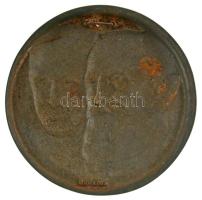 Németország DN "Robert Bosch - Hugo Junkers" egyoldalas felakasztható Fe emlékérem "B...