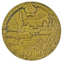 Lengyelország DN "Bem József tábornok 1794-1850" bronz emlékérem tokban (70mm) T:AU 
Pola...