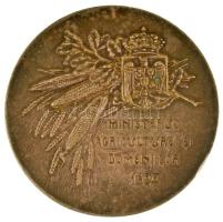 Románia 1925. "Mezőgazdasági Minisztérium 1925" ezüstözött bronz emlékérem. Szign.: C. Cri...