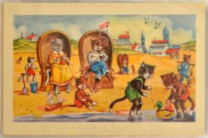 2 db 100 férfőhelyes albumban összesen 200 db régi motivumlap, kevés topográfiával, sok hosszú címzé...