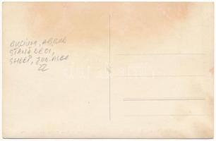 Detonáta-hegy, Detunata; Cea mai mare stanca de bazalt din Romania, 1169 mtr., Foto Bach 1929 No. 55...