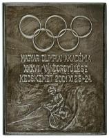 2001. Magyar Olimpiai Akadémia XXXVII. Vándorgyűlése - Kecskemét 2001. XI. 23-24. egyoldalas, ezüstpatinázott, öntött bronz emlékplakett (101x81mm) T:AU