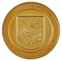 1990-2000 k. "Székelyudvarhely - A székely főváros / Csaba királyfi" kétoldalas bronz emlé...