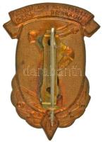 1959. "Nemzetközi Találkozó Budapest 1959" az Újpesti Dózsa sport klub festett bronz jelvé...