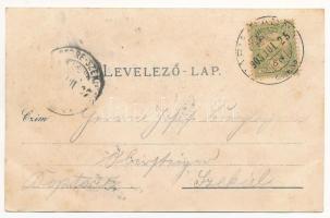 1905 Máriaradna, Mária-Radna, Radna (Lippa, Lipova); Kirche, Inneres der Kirche, Gnadenbild zu Maria...