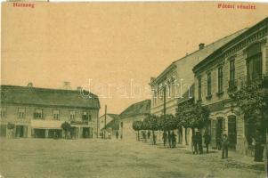 Hátszeg, Wallenthal, Hateg; Fő tér, Hirsch Ignátz üzlete. W. L. (?) 1711. Kiadja Mester János / main square, shops