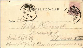 1899 (Vorläufer) Arad, Minorita templom, vár főkapuja, Maros-part, Lyceum, Arad-Csanádi egy. Vasutak...