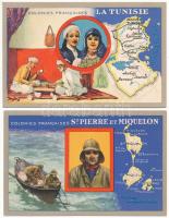 29 db RÉGI francia reklám nyomtatvány a gyarmati területekkel, hátoldalon leírásokkal / 29 pre-1945 French advertising cards with the colonies, descriptions on the backsides