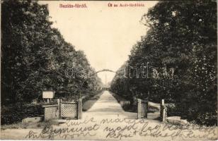 1907 Buziás-fürdő, Baile Buzias; út az Acél fürdőhöz. Francz testvérek kiadása / street to the spa (EK)