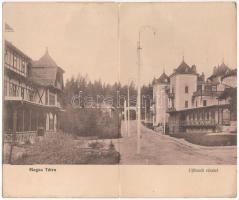 1908 Újtátrafüred, Neu-Schmecks, Novy Smokovec (Magas-Tátra, Vysoké Tatry); utca. 2 részes kinyitható panorámalap / street. 2-tiled folding panoramacard (fa)