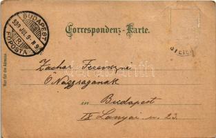 1900 Wegscheid (Mariazell), Gasthaus zur Post (Bes. Adalb. Kain), Graualpe, Spielmäuer / restaurant ...