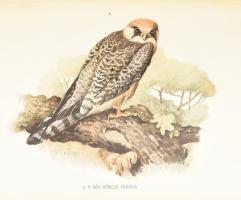 Herman Ottó: A madarak hasznáról és káráról. Darányi Ignácz m. kir. földmívelésügyi minister megbízá...