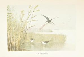 Herman Ottó: A madarak hasznáról és káráról. Darányi Ignácz m. kir. földmívelésügyi minister megbízá...