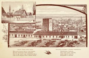 Arany János levelezése író-barátaival. I. kötet. A szülőház és Nagy Szalonta látképével. Arany János...