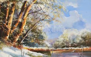 Fekete Zsolt (1964-): Téli táj. Olaj, farost, jelzett, dekoratív fakeretben. 30×40 cm