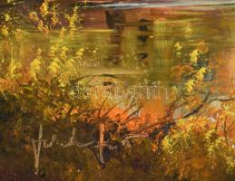 Fekete Zsolt (1964-): Őszi vízpart. Olaj, farost, jelzett, dekoratív fakeretben. 30×40 cm