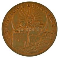 Bozó Gyula (1913-2004) 1986. "Patrona Hungariae / 300 éve szabadult fel Pécs a török hódoltság alól 1543-1686" kétoldalas aranyozott bronz emlékérem (70mm) T:AU patina, ph, kopott aranyozás