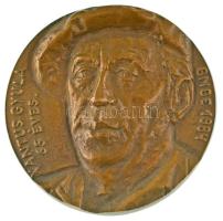 Józsa Lajos (1944-) 1984. "Xantus Gyula 65 éves - BMBE 1984" egyoldalas bronz emlékplakett (92mm) T:UNC