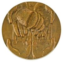 1993. "Evangélikus Szeretetotthon Emmaus - 1993 Nyíregyháza" nagyméretű emlékplakett, pere...