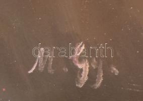 M. Gy. jelzéssel: Menyecske. Olaj, vászon, farostra kasírozva. 60x50 cm