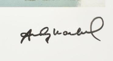 Andy Warhol (1928-1987): Dennis Hopper. Ofszet litográfia, papír, jelzett a nyomaton. Kézzel sorszám...