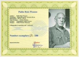 Pablo Picasso (1881-1973): Ülő hölgy (Olga). Ofszet litográfia, papír. Sorszámozott 86/200.Jelzett a...