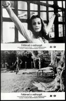 cca 1973 ,,Feltámad a vadnyugat" című amerikai kalandfilm jelenetei és szereplői, 7 db vintage ...