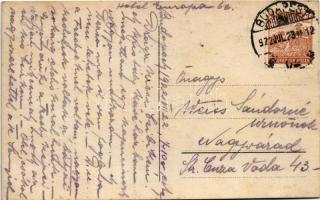 1922 Budapest, Légi felvétel a Gellérthegyről, budai és pesti oldalról, Dunáról és Erzsébet hídról. ...