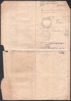 1919 magyar Népköztársaság utazási igazolvány Német-Ausztriába szakadással