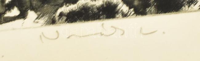 Novák Lajos (1927-1989): Dunapart (Dunakanyar). Rézkarc, papír, jelzett, kartonra kasírozva, 29x39 c...