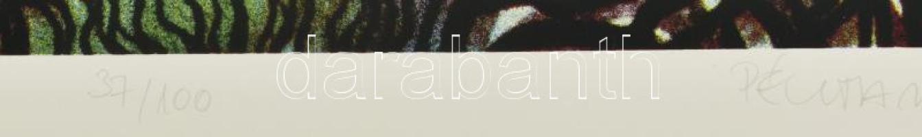 Péli Tamás (1948-1994): Az arckép. Művészi nyomat, papír, jelzett, számozott (37/100). 42x29,5 cm. R...