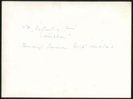 1978 ,,Éljünk a mi időnkben" - Baranyi Ferenc költő dedikál, nagyméretű fotó, a hátoldalon feli...