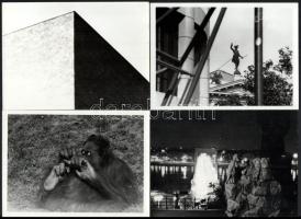 cca 1970 és 1979 között készült felvételek, Vető Jánosnak tulajdonított fotók (a képek között fellel...