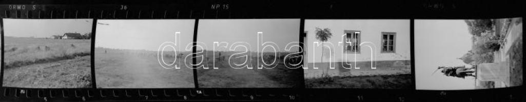 cca 1950 és 1979 között készült felvételek, 717 db vintage NEGATÍV sokféle témáról, vegyes válogatás...