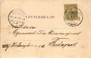 1904 Borszék-fürdő, Baile Borsec; Török villa (EB)